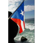 TEAM PR PR