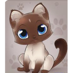 Chxi kits!
