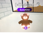 Teddy squad Roar