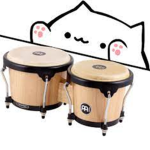 Bongo Group meow meow