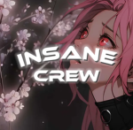 INSANE CREW BH