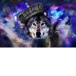 white wolf pack kings