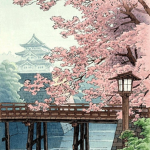 Cherry Blossom Farms