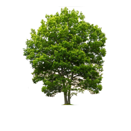 2d tree