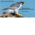 ParagonFalconForever
