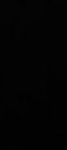 ليش سويت القروب