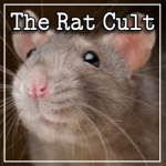 The Revolution of The Rats