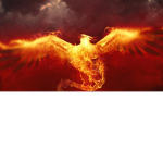 Dragon Phoenixes