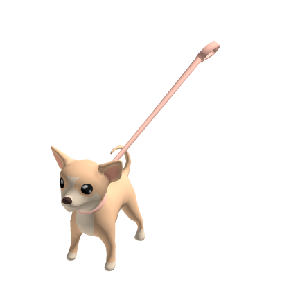 Yippy Chihuahua