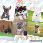 Ruffus gang