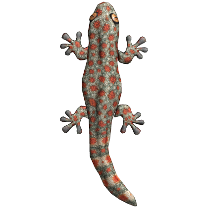 Realistic Gecko Pet
