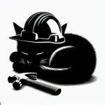 Cats studio!