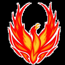 The Fire Birds: Result of chaos