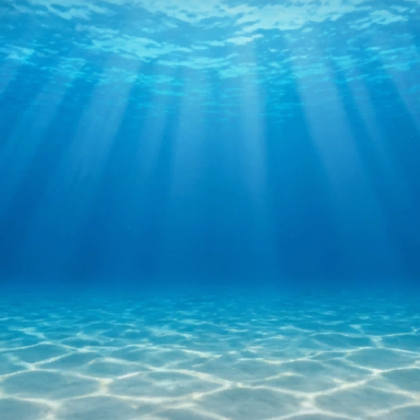 Under the Sea Background