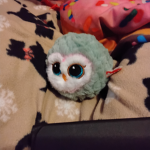 Waddles fluffles waddles and FEATHERS