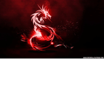 dragon playz fan group