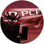 Professional Combat Federation [PCF]