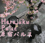 Harajuku Pulse