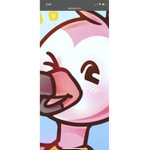 I watch flamingo