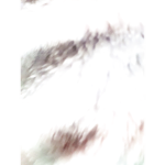 # # # # # # # # #####