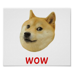 Doge Tycoon