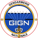 French Military Forces (Electric State)
