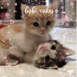 babi cakes