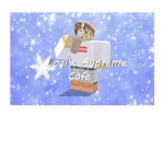 Logi's Supreme Cafe