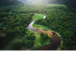 SaveTheAmazon