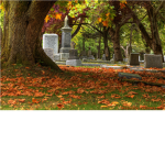 Paranormal Icotioantion Activity