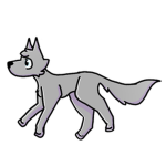 Land of the wolves 🐺