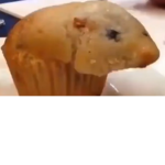 MAD SUSSY MUFFINS