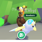 Robux s