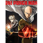 the one punch man