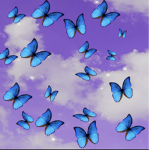 /Butterflies/