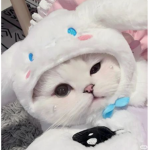 l0v3_mik0