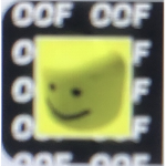 BRADY PLAYS ROBLOX FAN GROUP!