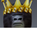 Gorilla adventures