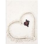 We love turtles group!