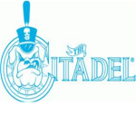citadel bulldogs