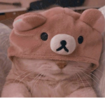 da cats </3