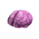 small brain time