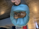 Pads is Lily
