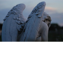 angelic hangout