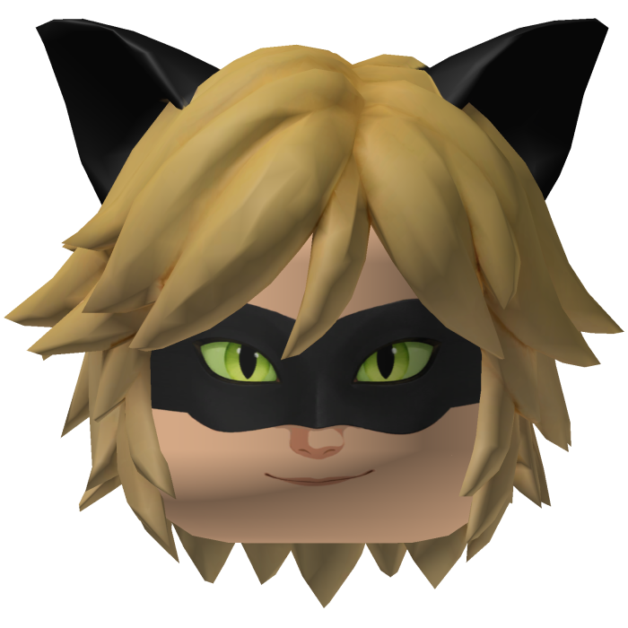 Cat noir