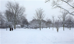 snow luvers