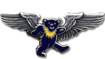 B.E.A.R Army Air Force