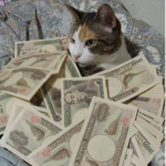 $avage Cats
