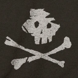 swashbucklers n bilge rats icon