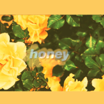 HxneyBeezz